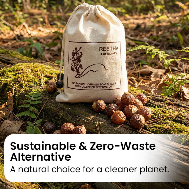 Soap Nuts for laundry