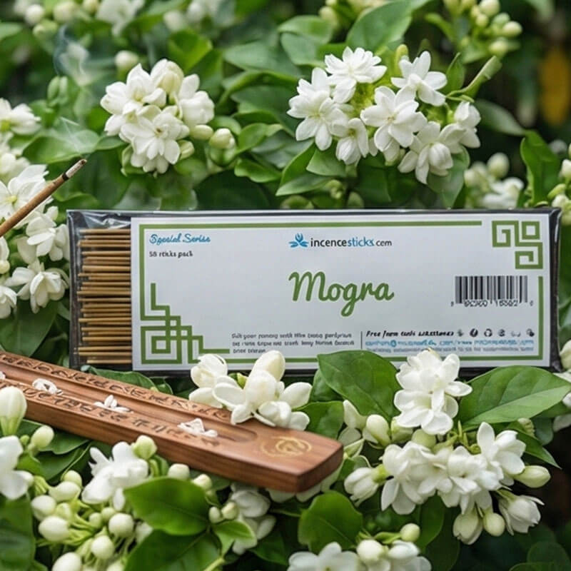 Mogra Incense 8" 50 Sticks
