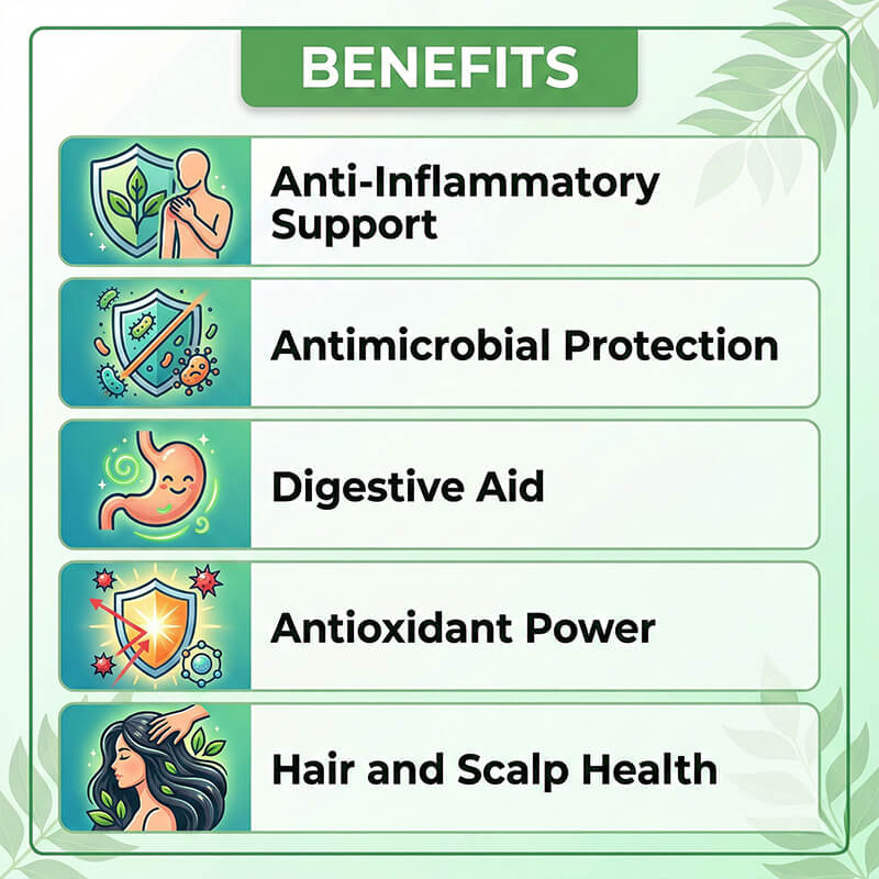 Curry Leaf Essential Oil