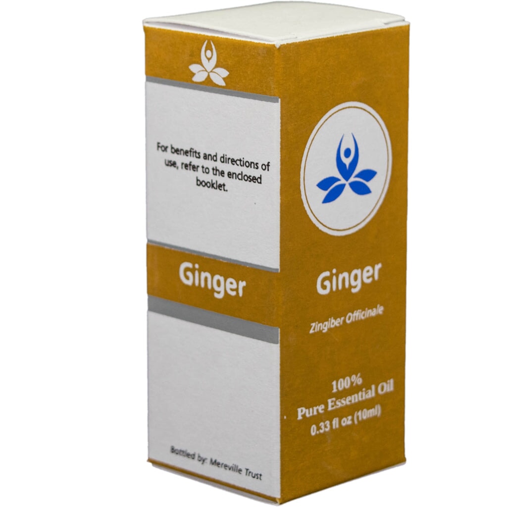 Ginger Essential Oil Essential oil