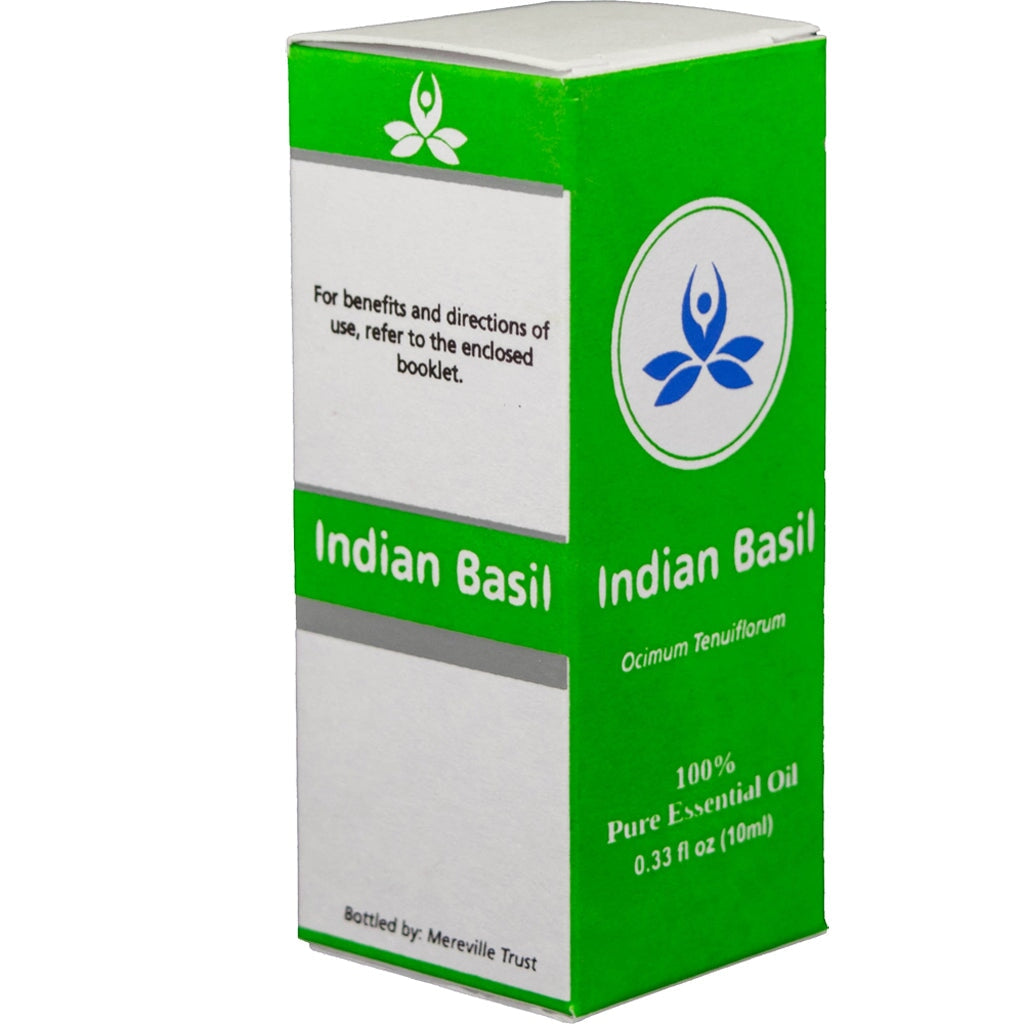 Indian Basil Essential Oil Essential oil