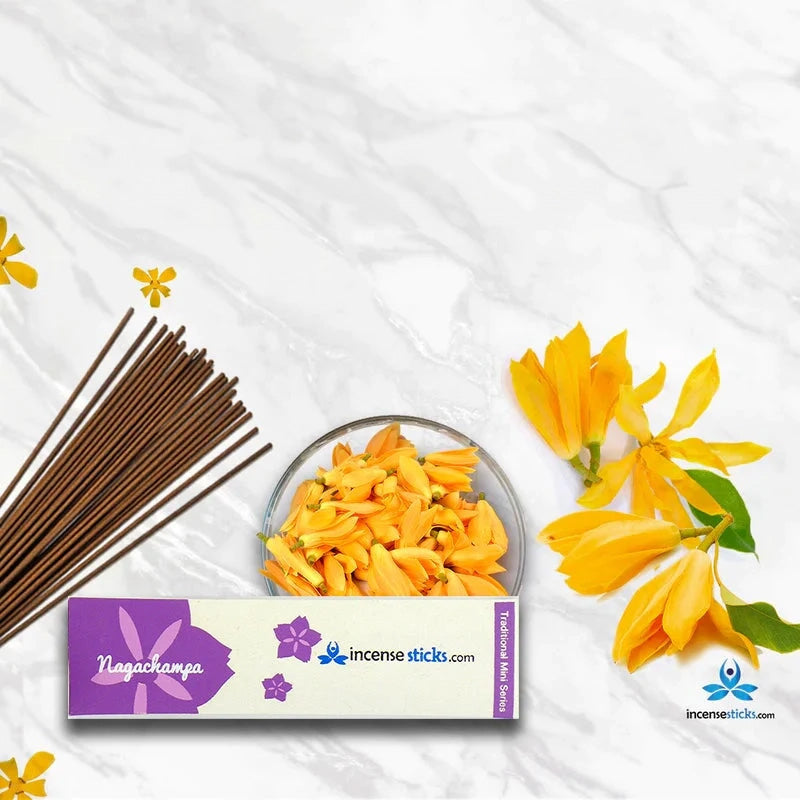 Nag Champa Incense 4.5” 10 Sticks