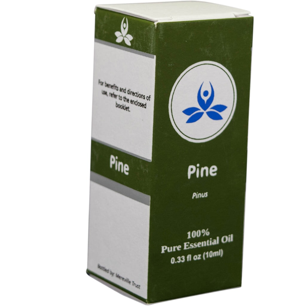Pine Essential Oil Essential oil