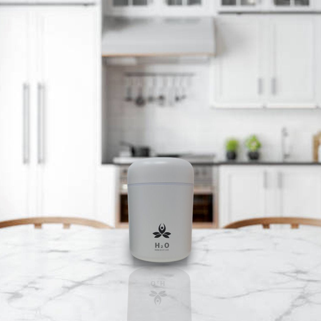 USB Car Humidifier ( ARDRA ) Electronic Diffuser White