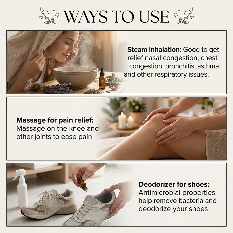 Eucalyptus Essential Oil