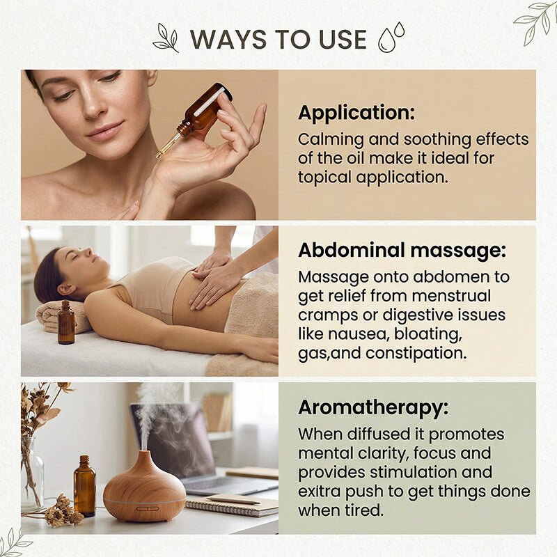 Fennel Seed Essential Oil