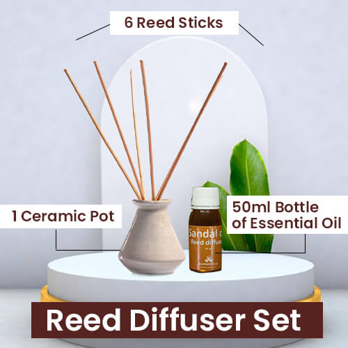 Reed Diffuser