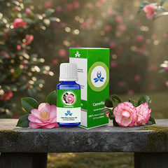 Camellia Carrier Oil