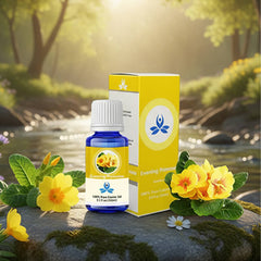 Evening Primrose Carrier Oil
