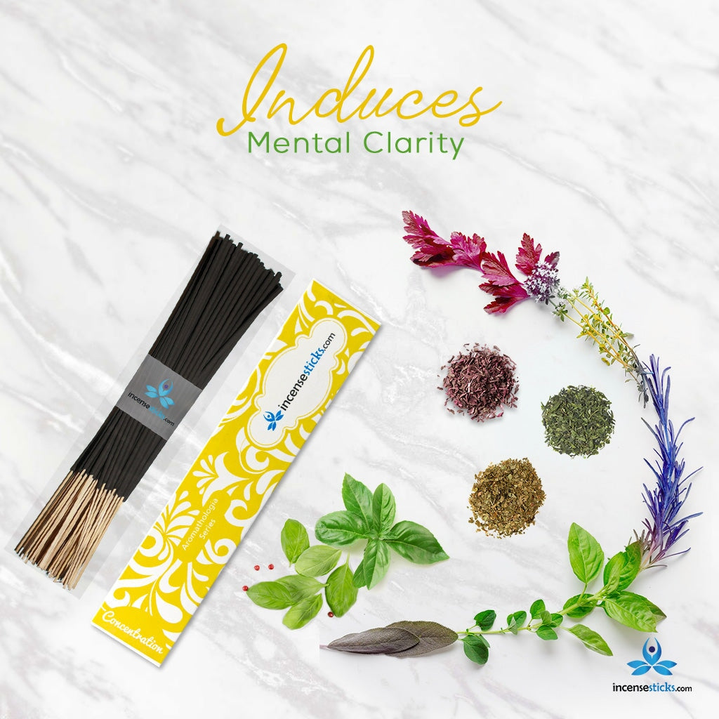 Concentration Incense 8" 12 Sticks Aromatologia Incense Sticks 