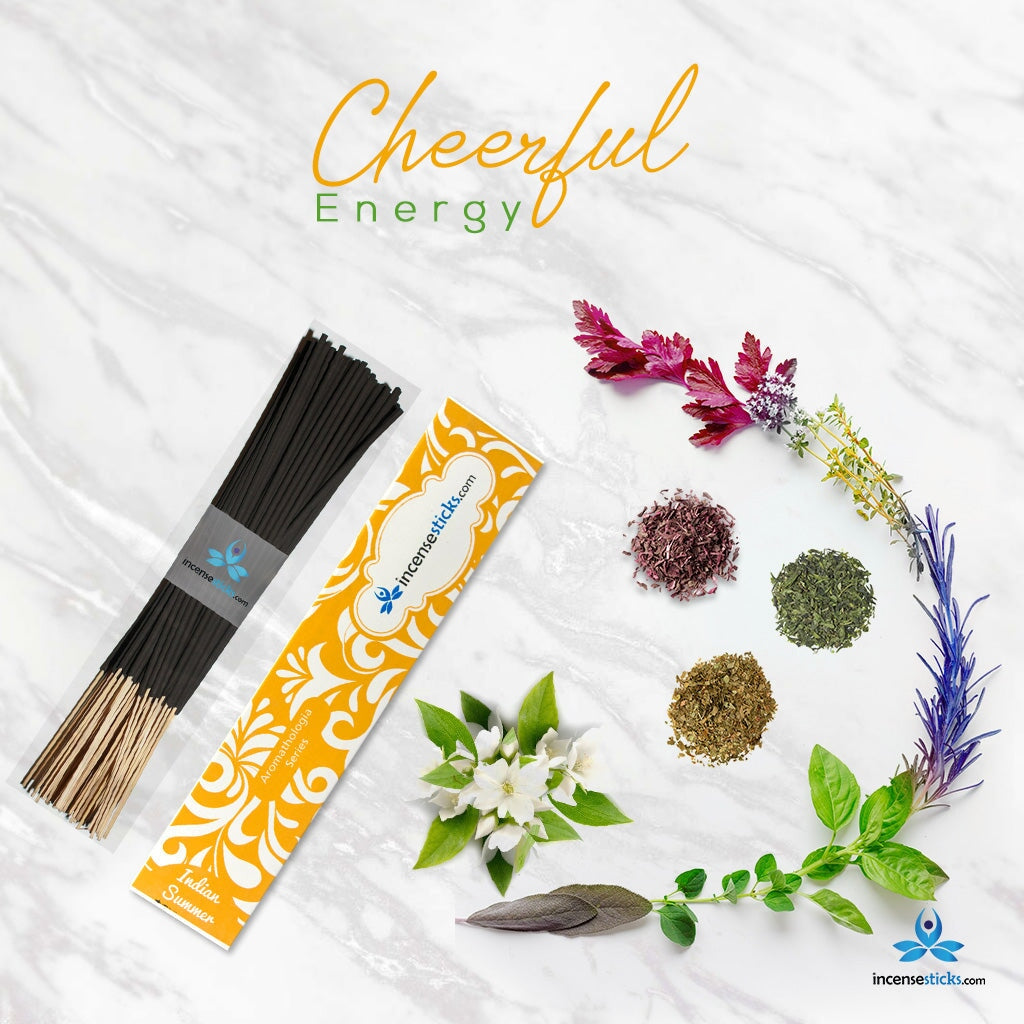 Indian Summer Incense 8" 12 Sticks Aromatologia Incense Sticks 1 Pack 