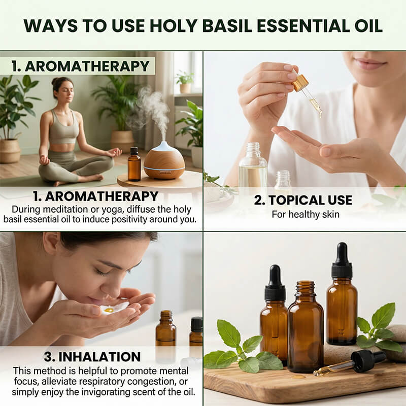 Indian Basil Essential Oil