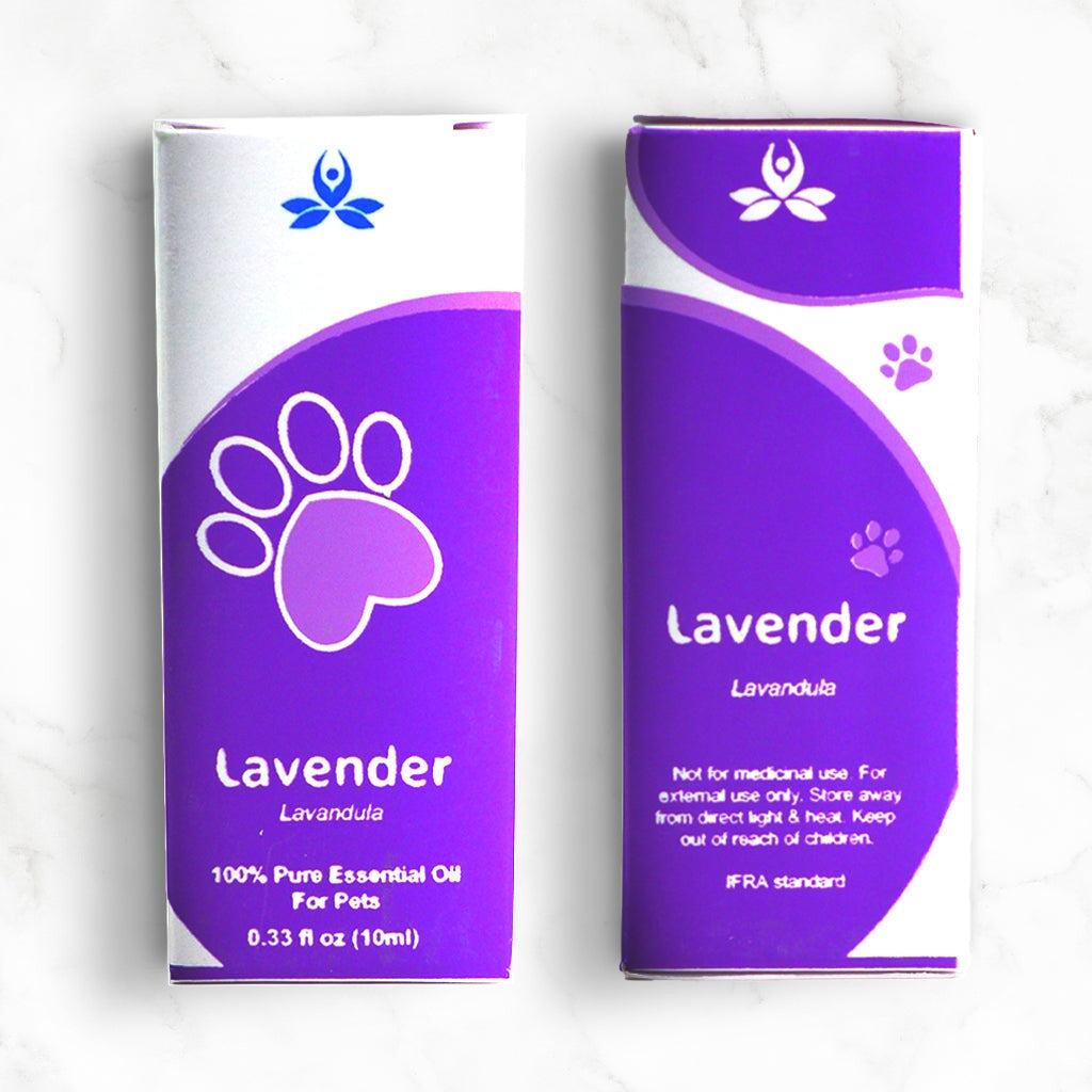 Pet Lavender Essential Oil Pet Essential oil 